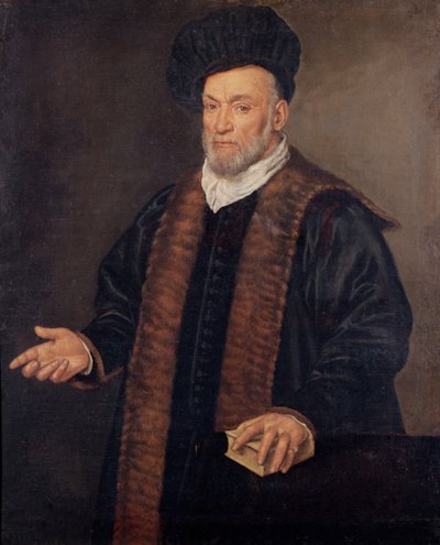 Portrait of a Doctor by Francesco Montemezzano